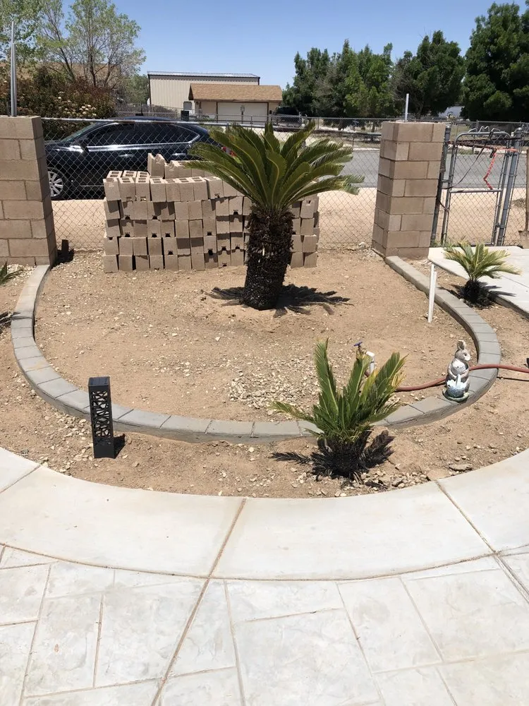 Top-rated yard cleanup service in Adelanto, CA by Zays Clean Up