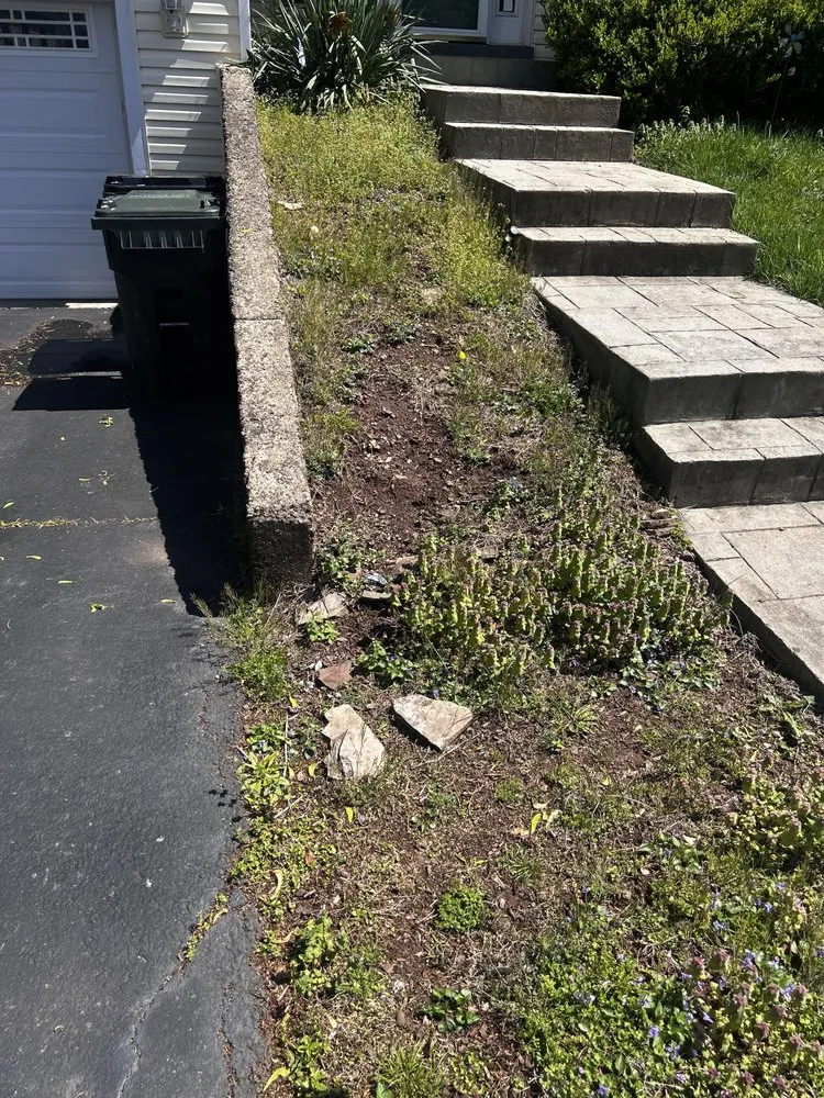 Affordable landscaping services in Manassas, VA by Zay’s Green District Landscaping