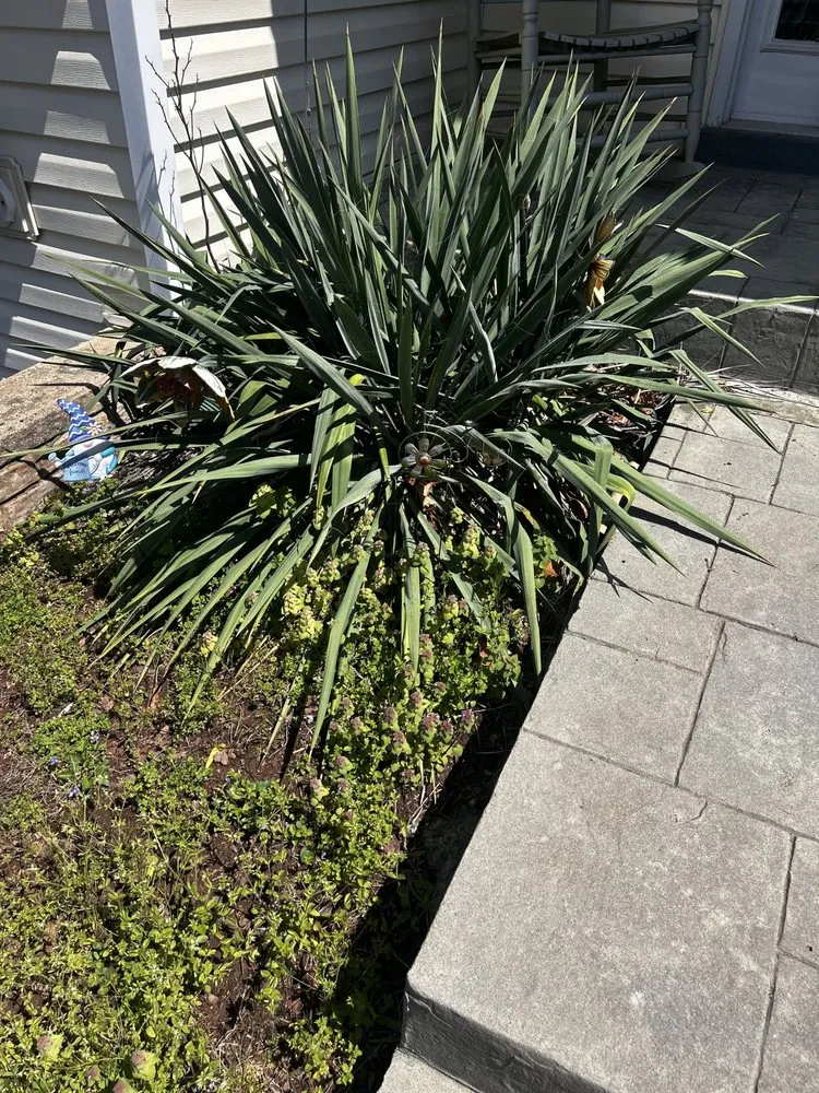 Professional landscape installation with custom design across Manassas, VA - Zay’s Green District Landscaping