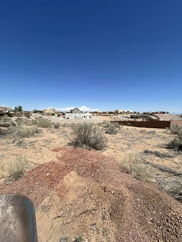 Local yard cleanup service near you in Albuquerque, NM by Zay’s Landscaping