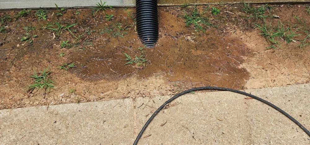 Custom lawn care service for beautiful yards in Covington, GA by Zays landscaping