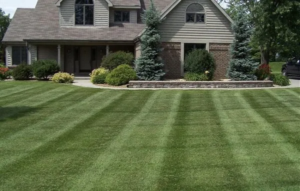 Zays Landscaping