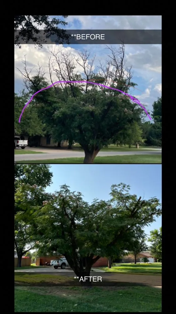 Affordable outdoor landscaping for beautiful yards in Lubbock, TX by Zay’s Lawn Care