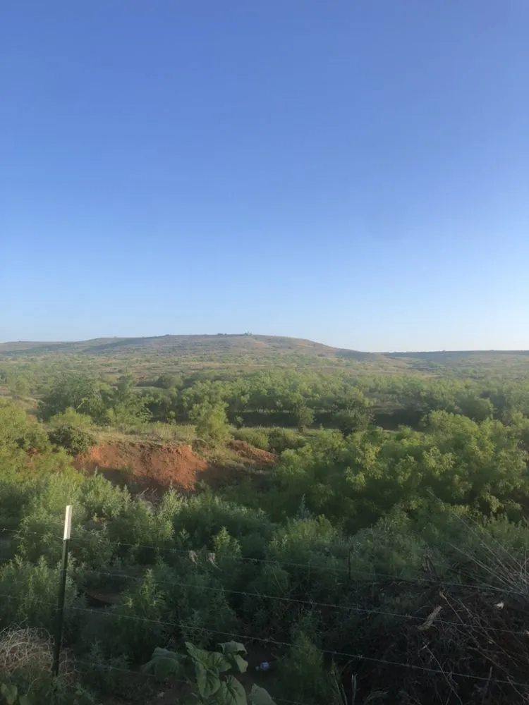 Expert lawn mowing service in Lubbock, TX by Zay’s Lawn Care