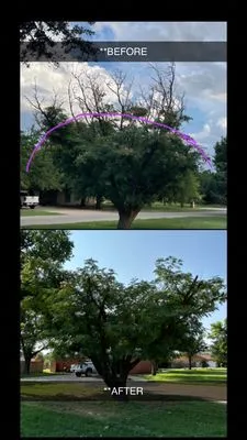 Zay’s Lawn Care Logo