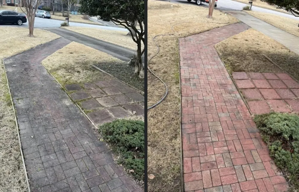 Professional yard cleanup service for residential properties in Reidsville, NC by Zays Lawn Service