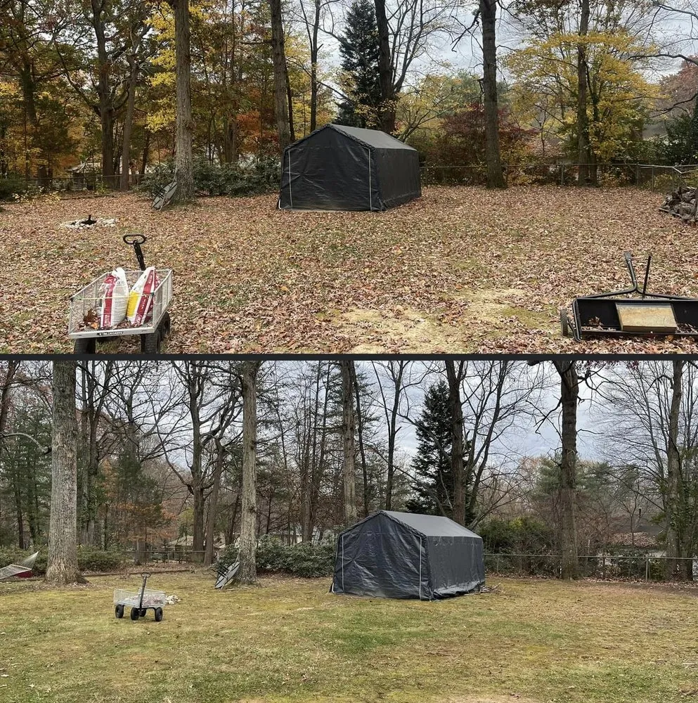 Trusted yard cleanup service with custom design in Reidsville, NC by Zays Lawn Service