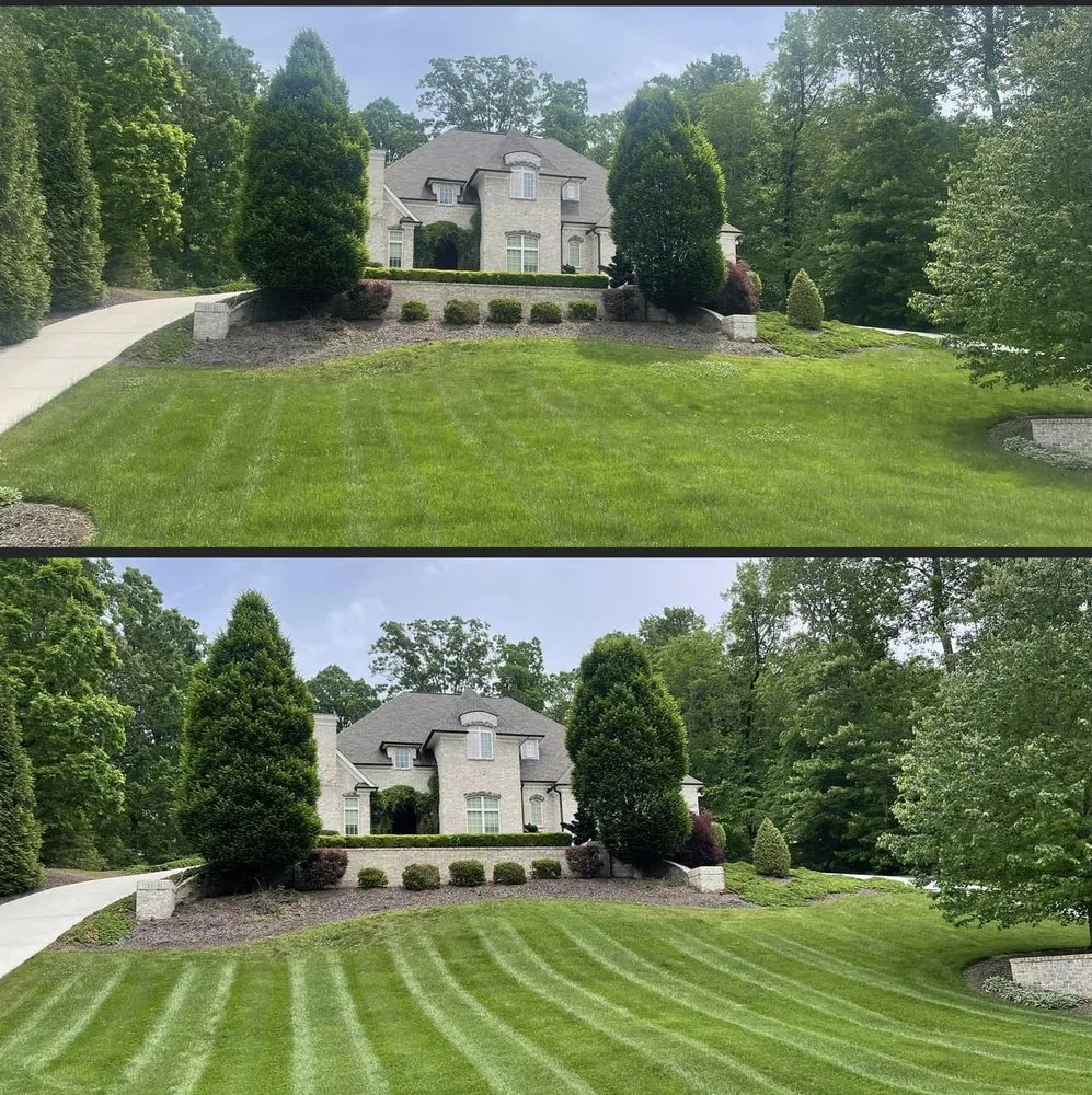 Affordable lawn care service in Reidsville, NC by Zays Lawn Service