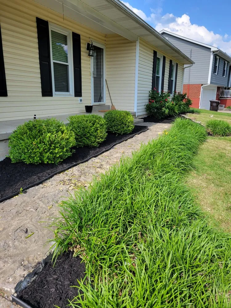 Professional yard maintenance experts serving Cynthiana, KY - Zay's Lawncare Solution
