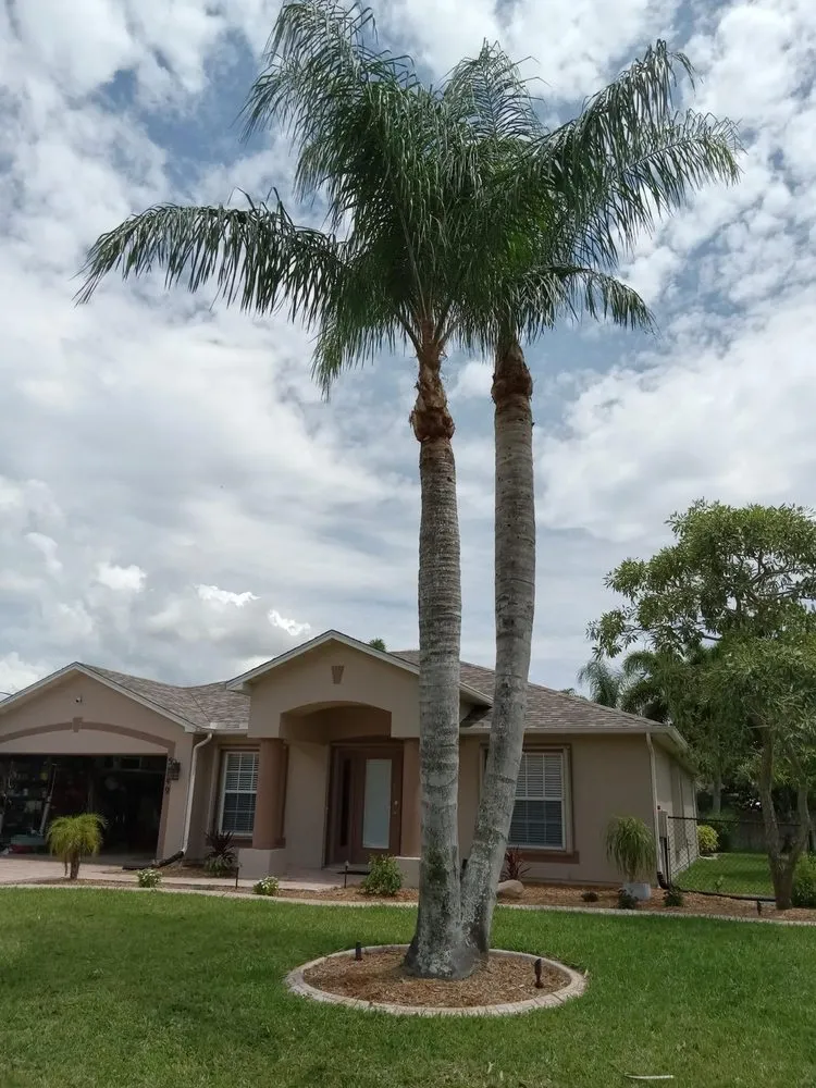 Affordable residential landscaping in Stuart, FL - Zaza & Iris Landscaping