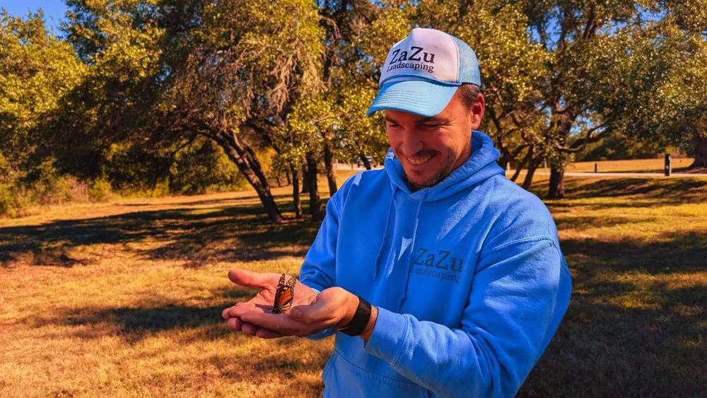 Professional lawn mowing service for residential properties across Austin, TX - Zazu Landscaping