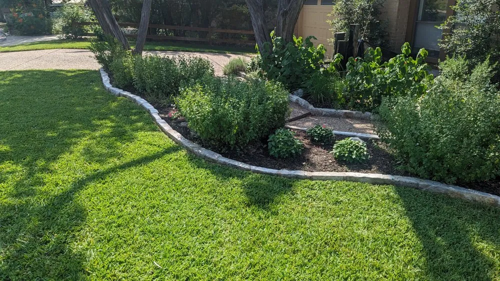 Trusted landscape design for beautiful yards in Austin, TX by Zazu Landscaping