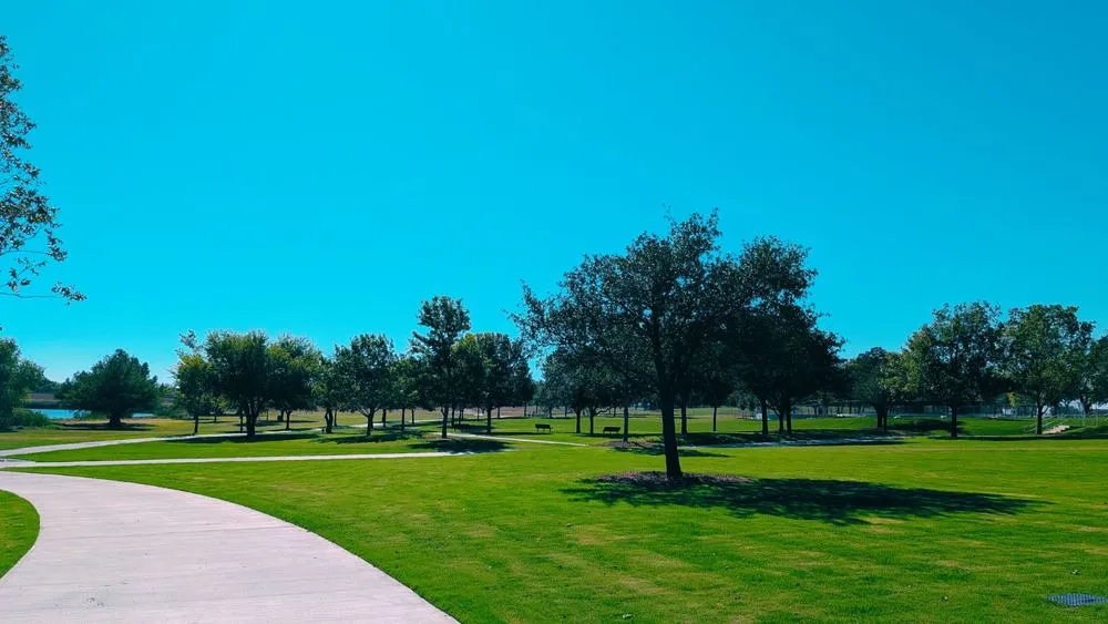 Top-rated lawn care service for year-round maintenance across Austin, TX - Zazu Landscaping