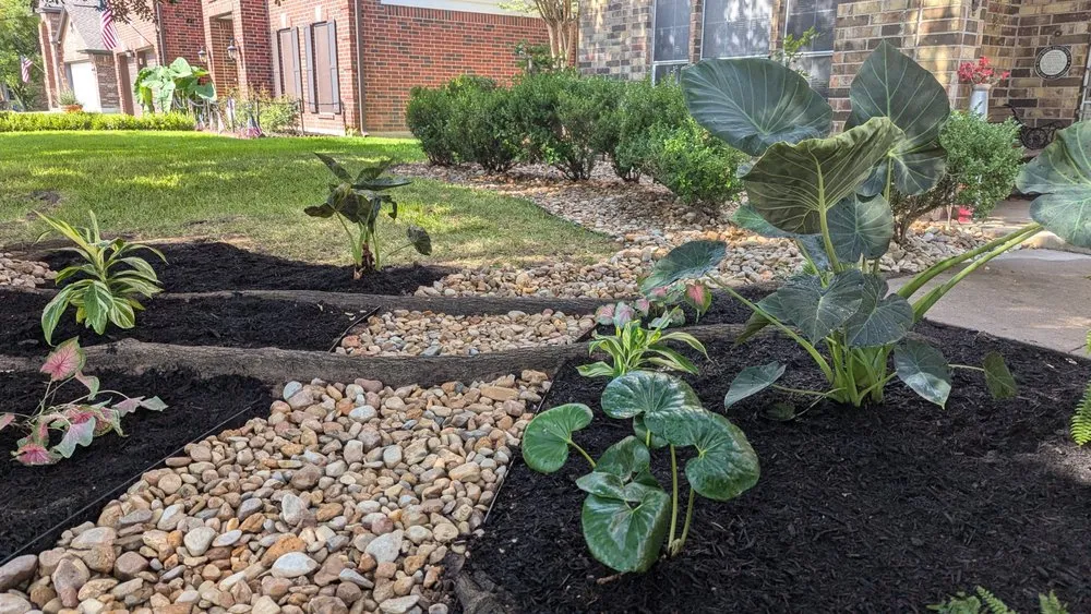 Affordable landscaping services in Austin, TX - Zazu Landscaping