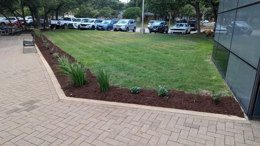 Expert lawn mowing service in Austin, TX - Zazu Landscaping