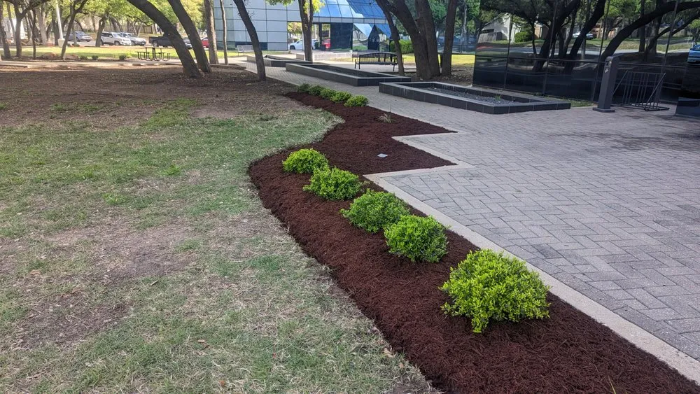 Reliable outdoor landscaping experts serving Austin, TX - Zazu Landscaping