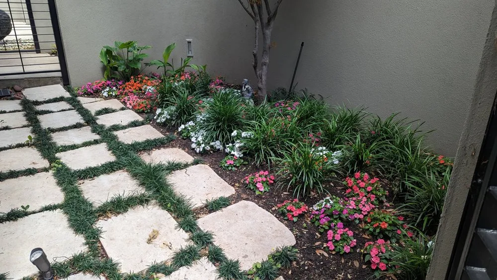 Expert residential landscaping in Austin, TX - Zazu Landscaping