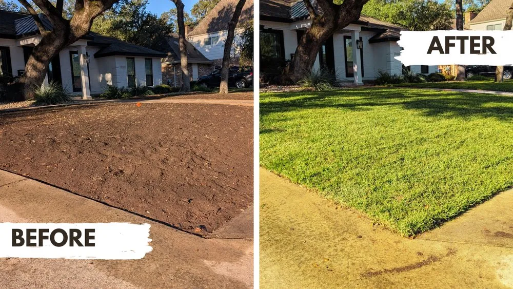 Trusted yard maintenance experts serving Austin, TX - Zazu Landscaping