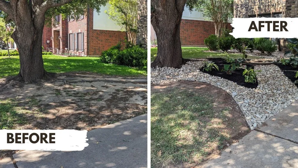 Trusted landscaping services experts serving Austin, TX - Zazu Landscaping