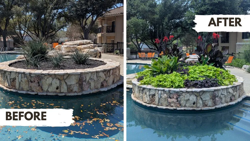 Affordable lawn care service for beautiful yards across Austin, TX - Zazu Landscaping