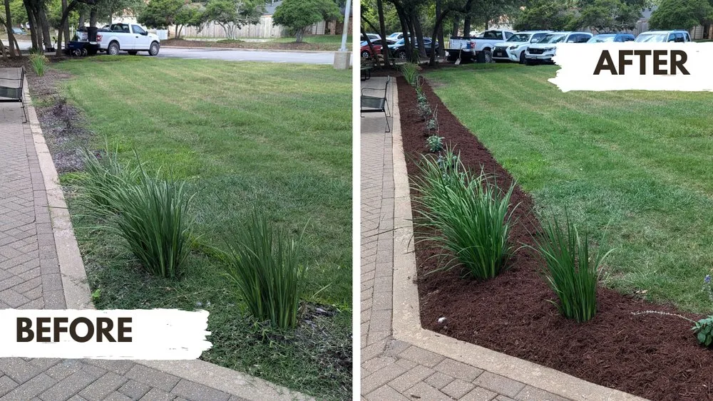 Affordable landscape installation in Austin, TX - Zazu Landscaping