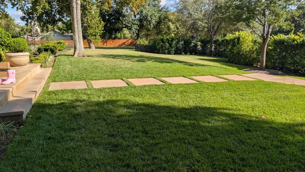Expert landscape installation for year-round maintenance in Austin, TX by Zazu Landscaping