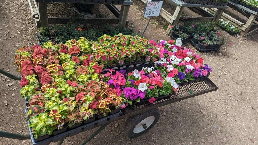 Top-rated landscape installation experts serving Austin, TX - Zazu Landscaping