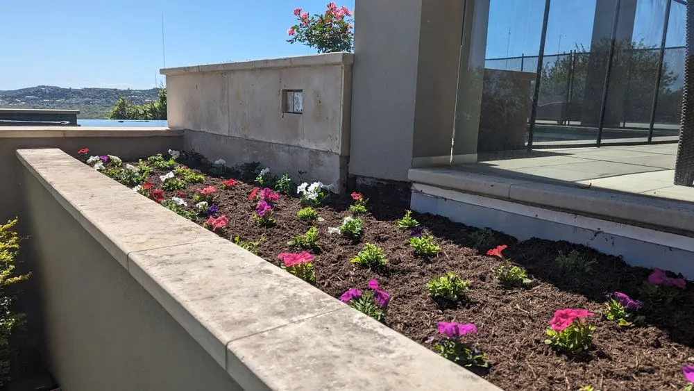 Local landscape design near you in Austin, TX by Zazu Landscaping