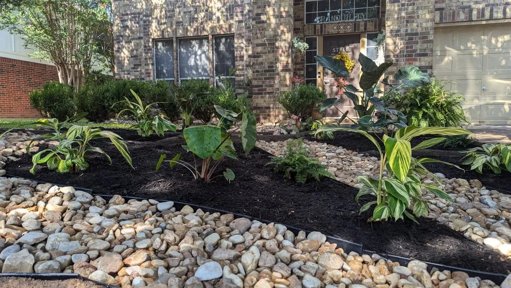 Professional residential landscaping in Austin, TX - Zazu Landscaping