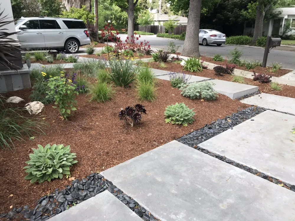 Expert lawn care service for homes in Los Gatos, CA by Zazueta Landscape