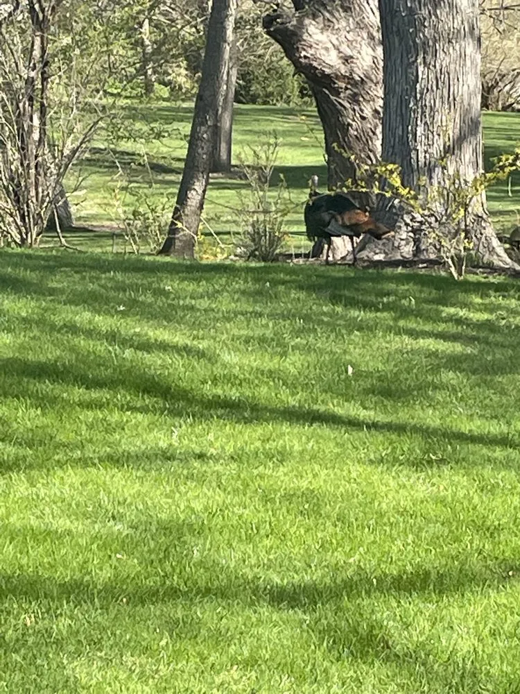 Local garden landscaping experts serving Clarkston, MI - ZB’S Lawn Sprinklers