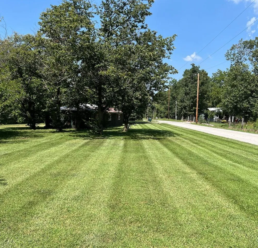 Local landscape design experts serving Memphis, TN - Z&C Cleanup, Landscape, And Dumpster Rental