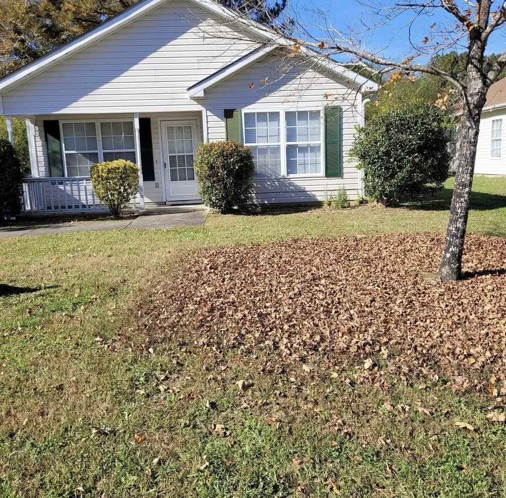 Trusted landscaping services near you across Memphis, TN - Z&C Cleanup, Landscape, And Dumpster Rental