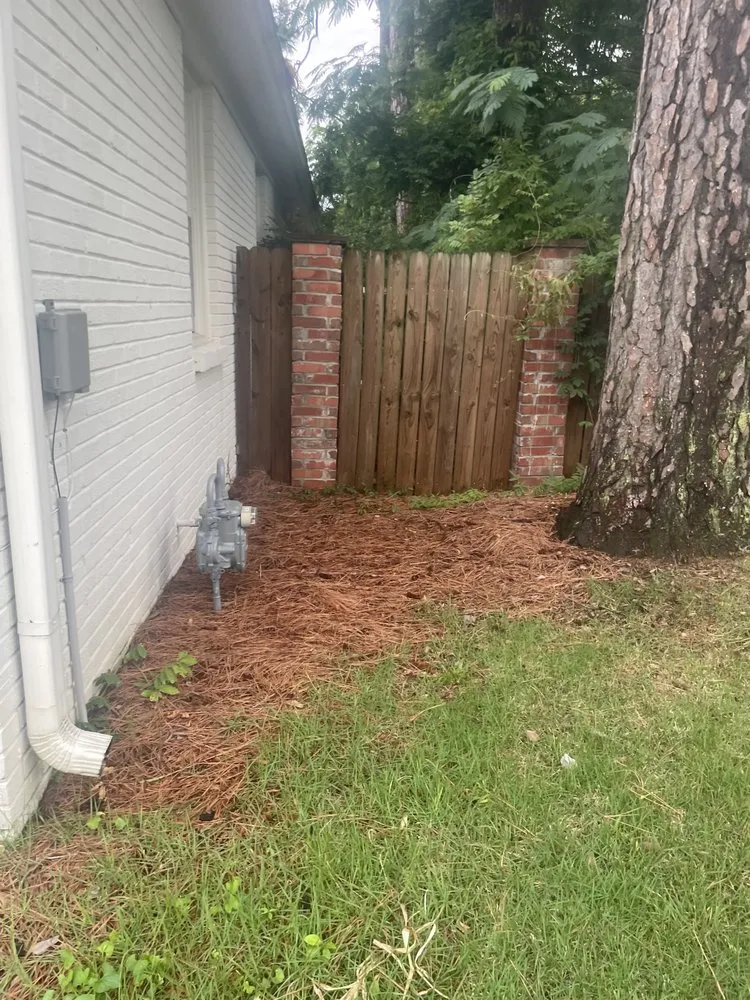 Expert landscaping services for beautiful yards in Memphis, TN by Z&C Cleanup, Landscape, And Dumpster Rental