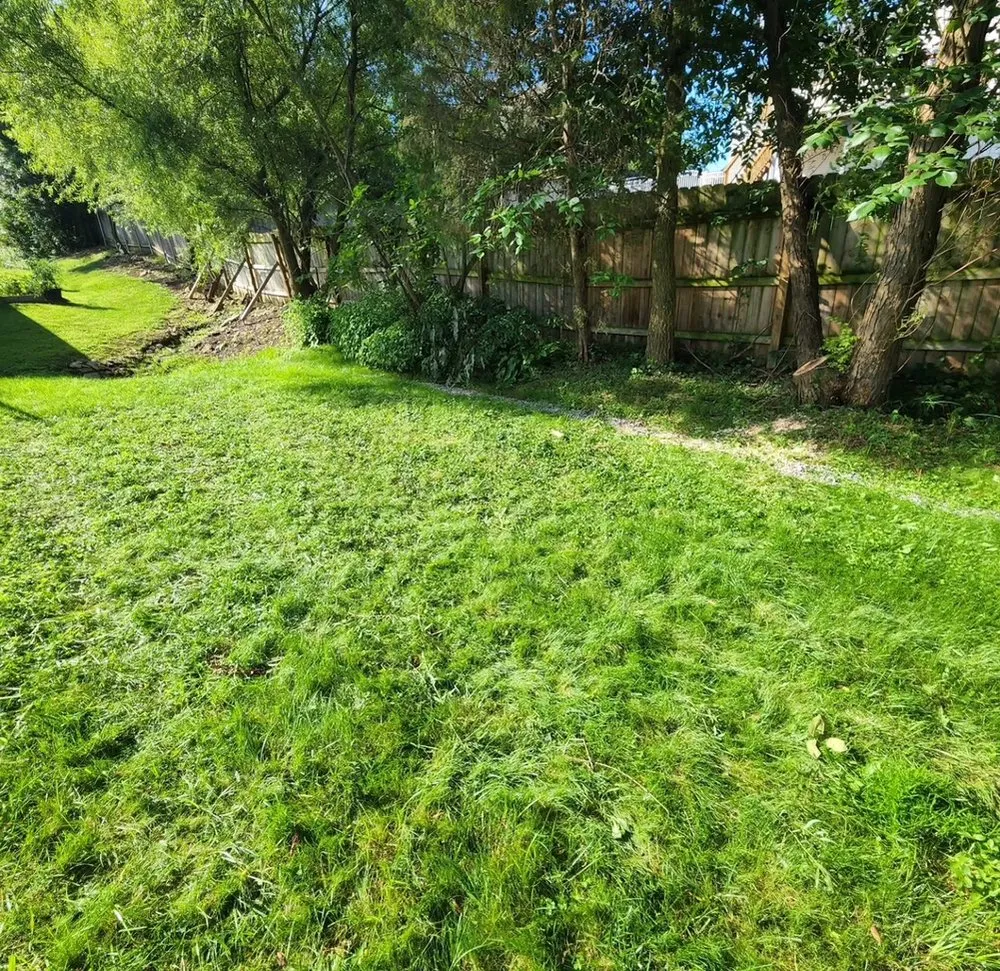 Expert landscaping services in Memphis, TN - Z&C Cleanup, Landscape, And Dumpster Rental