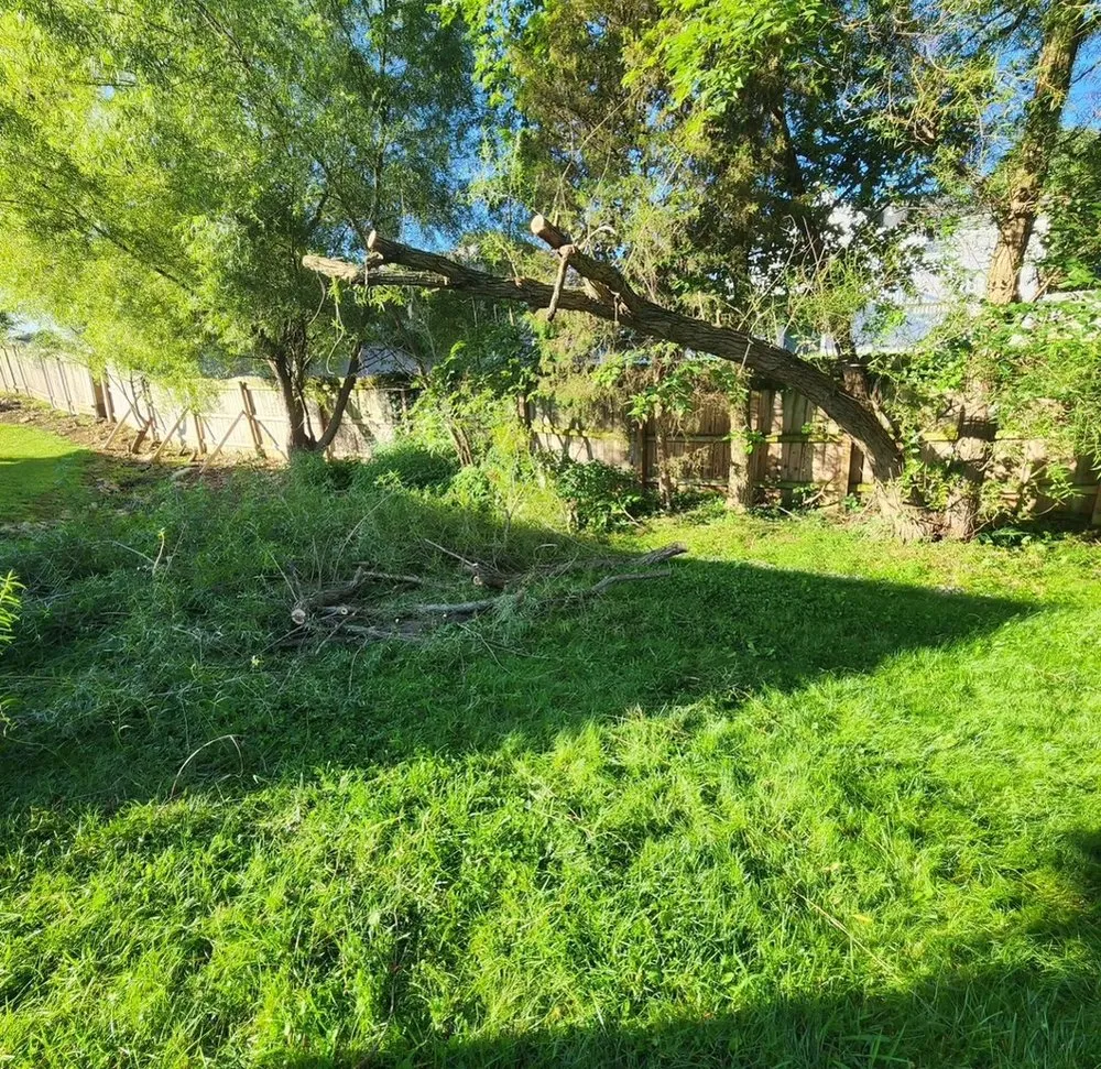 Custom yard cleanup service experts serving Memphis, TN - Z&C Cleanup, Landscape, And Dumpster Rental