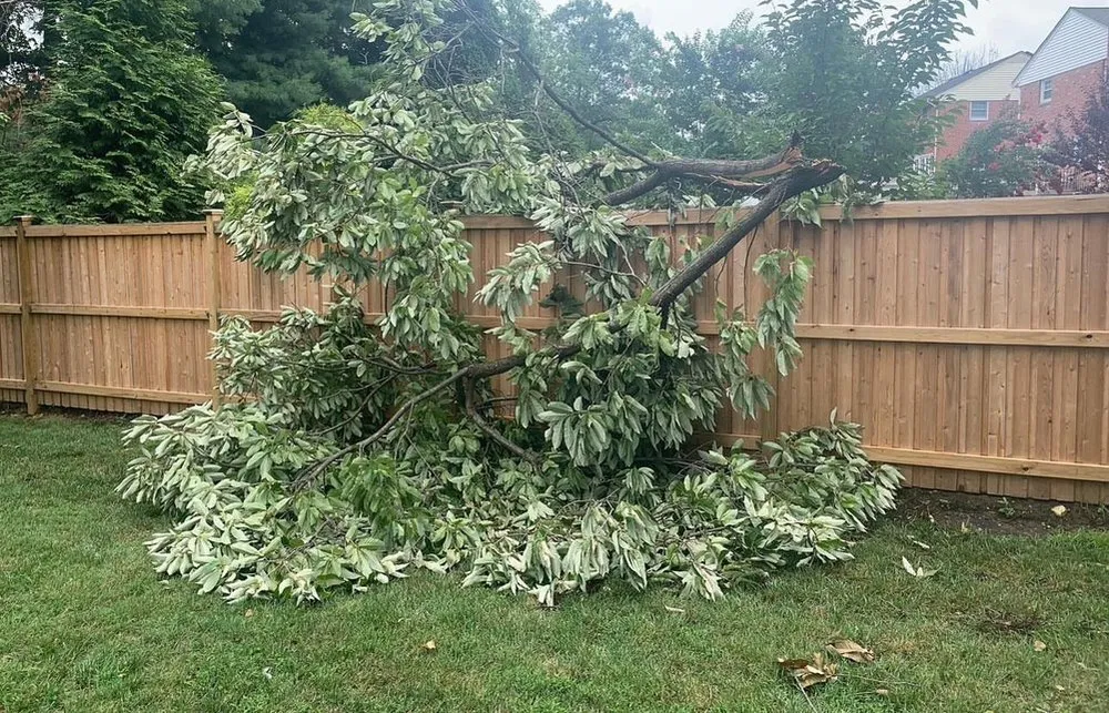 Top-rated outdoor landscaping experts serving Memphis, TN - Z&C Cleanup, Landscape, And Dumpster Rental