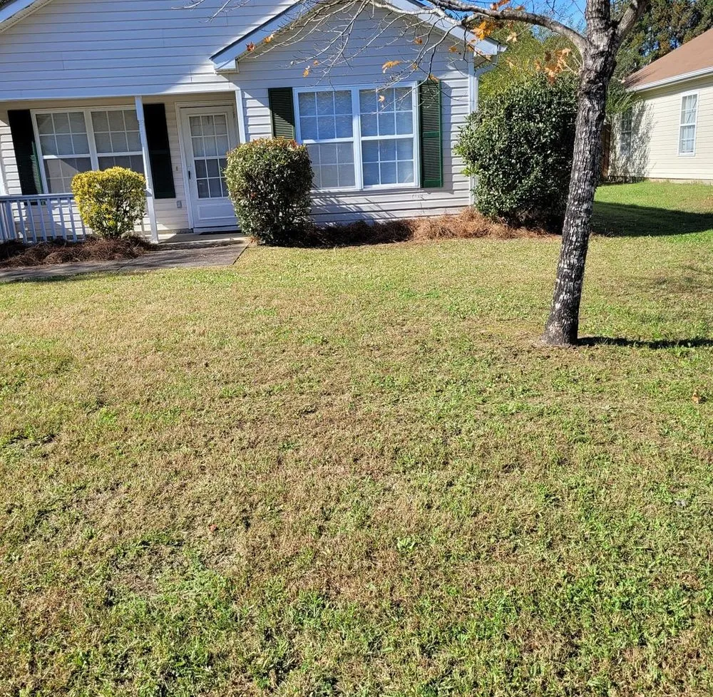 Reliable residential landscaping in Memphis, TN - Z&C Cleanup, Landscape, And Dumpster Rental