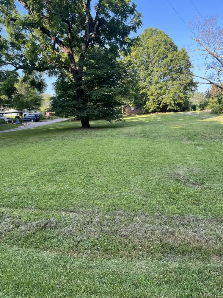 Custom yard maintenance in Falkville, AL - Z&C Lawn Care
