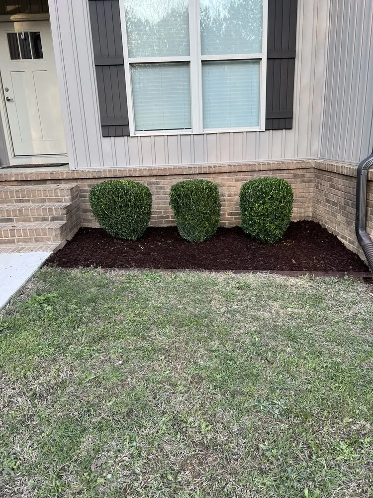 Expert landscaping services for beautiful yards in Falkville, AL by Z&C Lawn Care