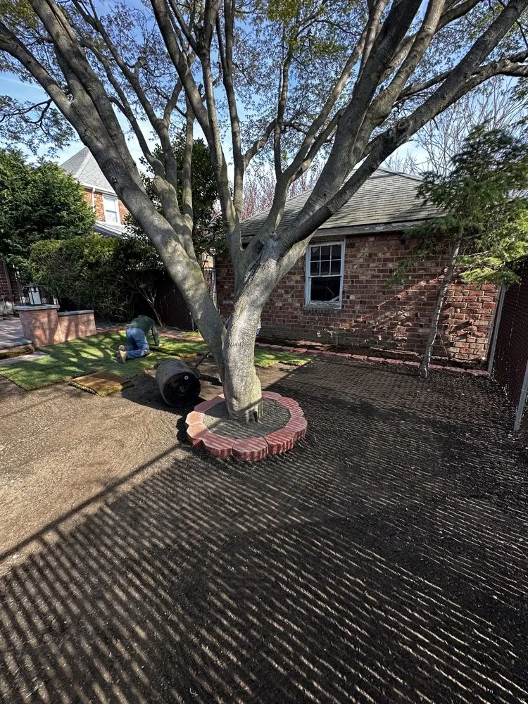 Custom lawn care service in Franklin Square, NY - ZCanales Landscaping