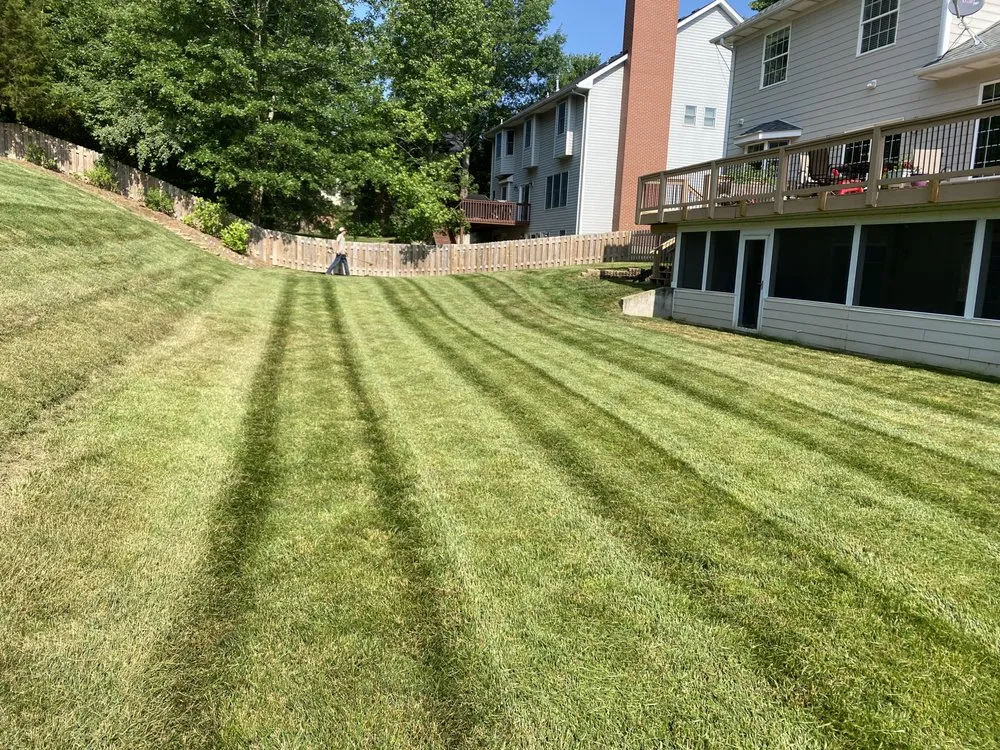 Expert landscape design in Columbia, MO by Z&D Landscapes