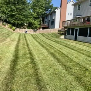 Reliable yard maintenance for year-round maintenance in Columbia, MO by Z&D Landscapes