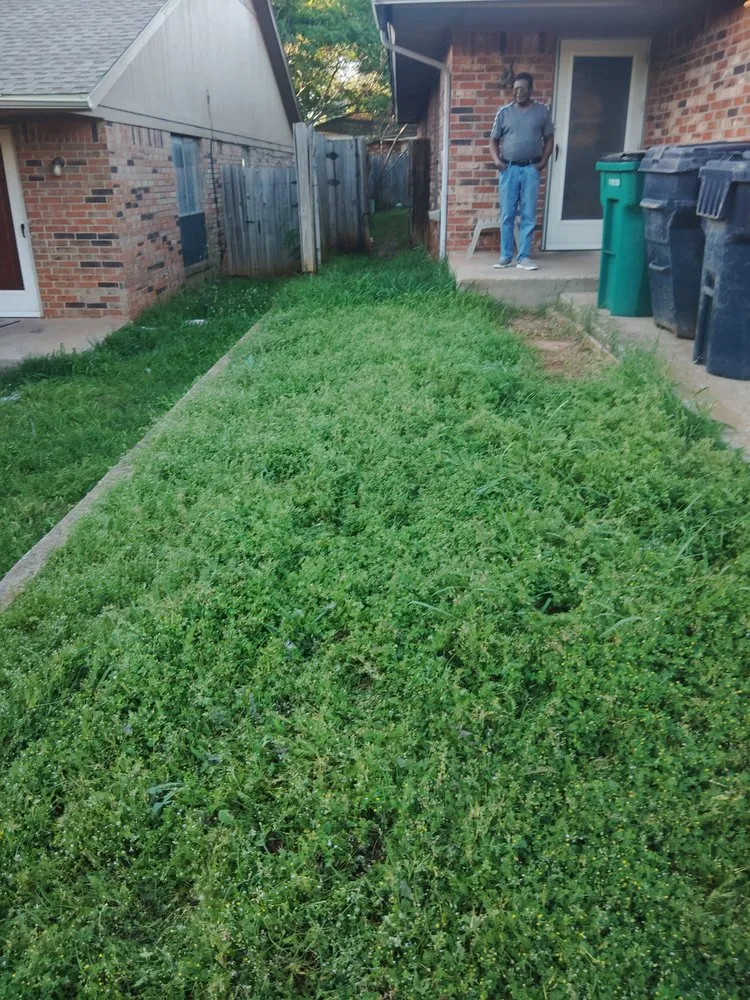 Reliable outdoor landscaping experts serving Oklahoma City, OK - ZD Services