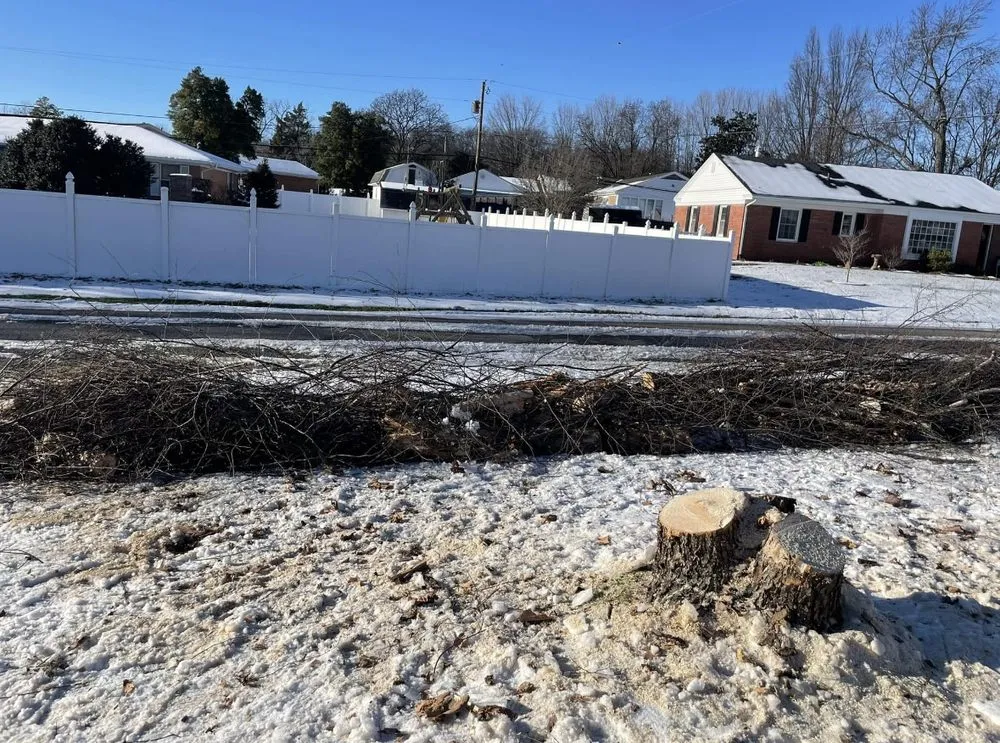 Custom yard maintenance in Henderson, KY - ZDL Lawn Care