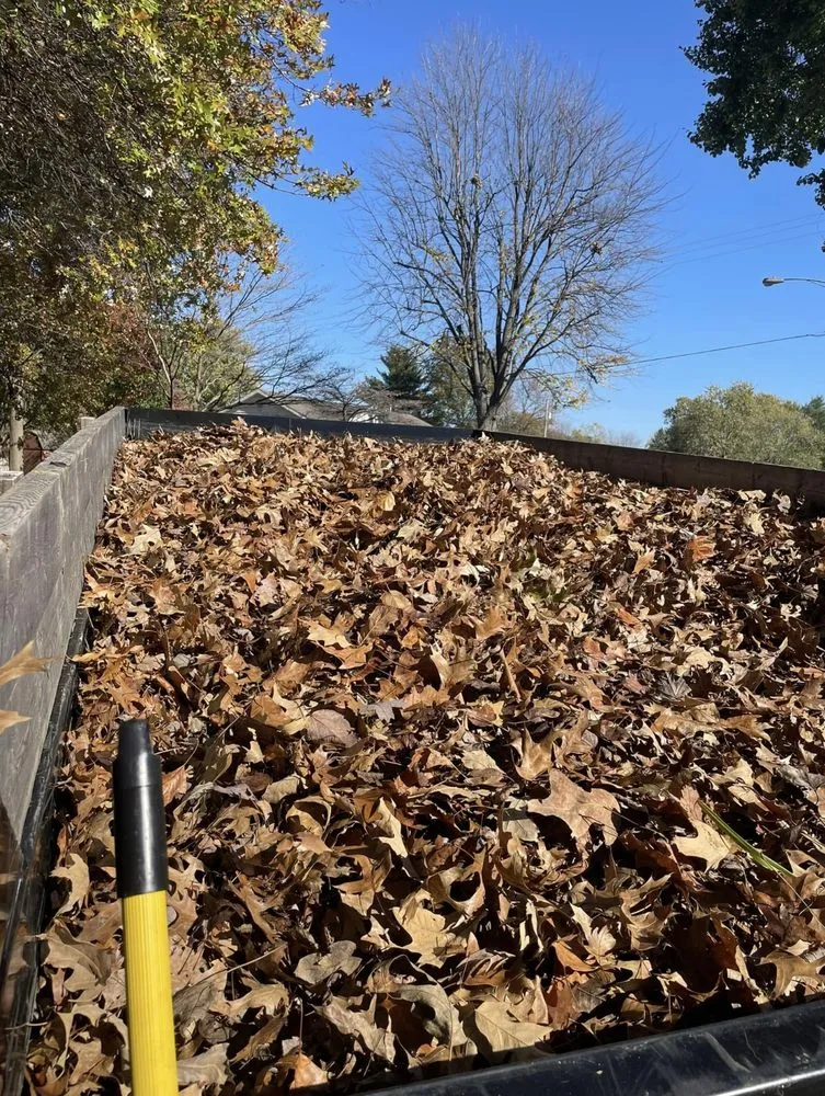 Local lawn care service experts serving Henderson, KY - ZDL Lawn Care