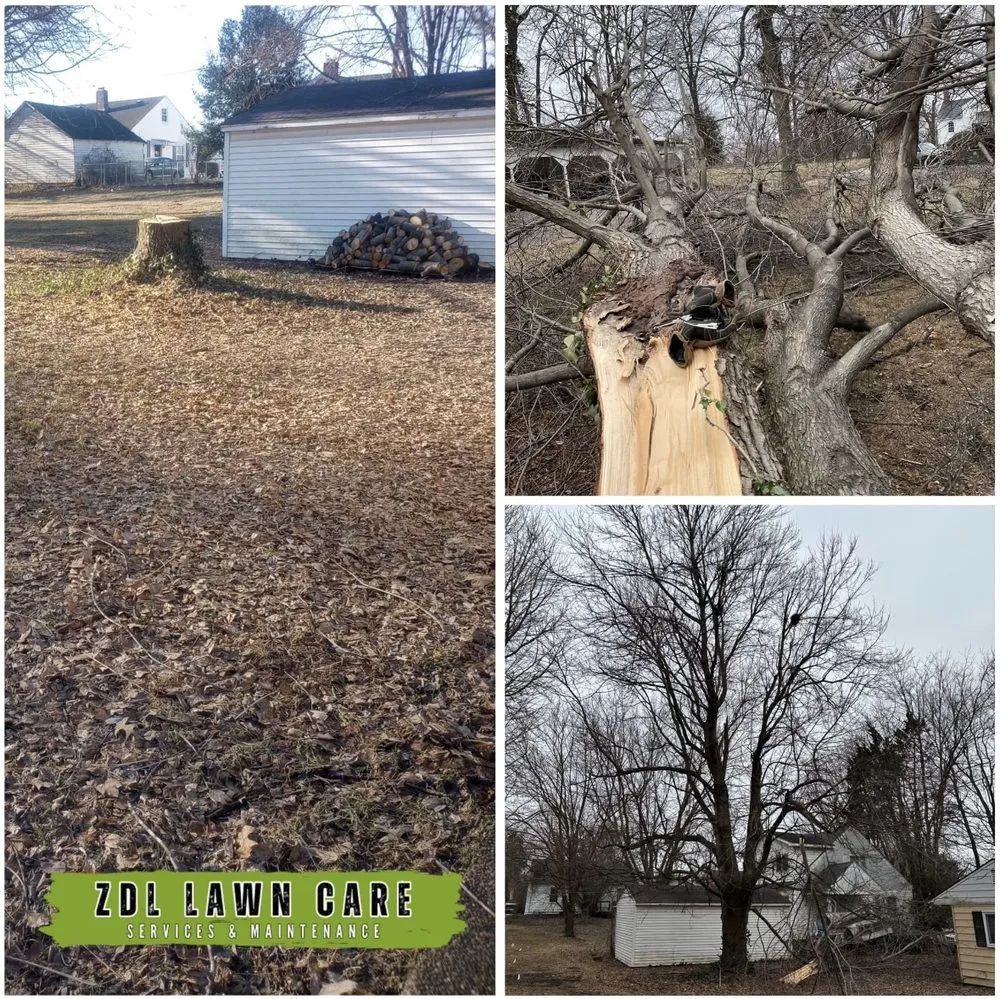 Expert lawn mowing service in Henderson, KY by ZDL Lawn Care