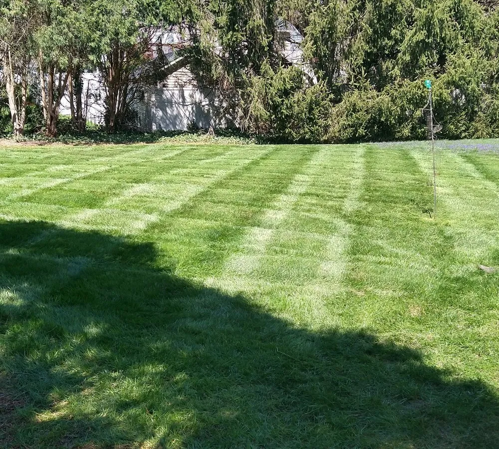 Professional landscape design experts serving LANCASTER, PA - Z&D's Landscape