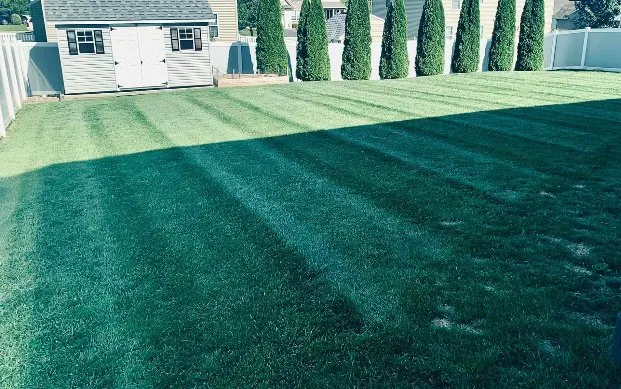 Local lawn care service experts serving LANCASTER, PA - Z&D's Landscape