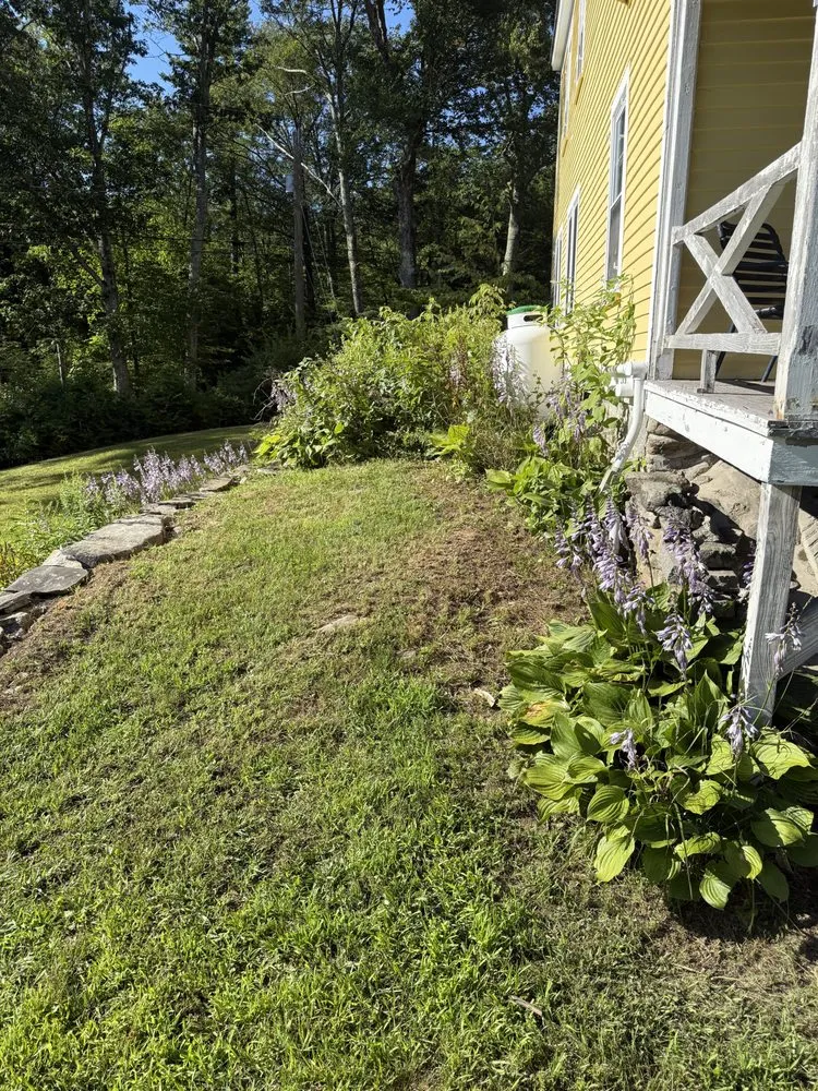 Top-rated yard cleanup service in Lyndeborough, NH - Zeal Landscape